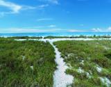 Beach Path