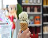 Several Ice Cream Options
