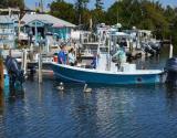 Charter a Day of Offshore Fishing with a Pro at Keys