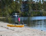 Kayak the Bay with your Best Friend
