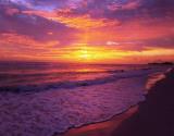 Gorgeous Sunsets