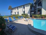 Loungers by Pool
