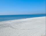 Miles of Beautiful Beach and Ocean only Steps Away