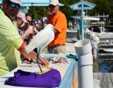 Keys Marina Fishing Charters