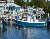 Fishing Charters 2 Blocks
