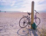 Bikes are the Perfect Transportation